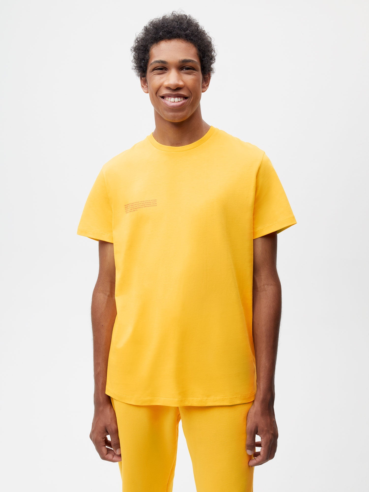 Autumn Leaves T-shirt—ginkgo yellow male