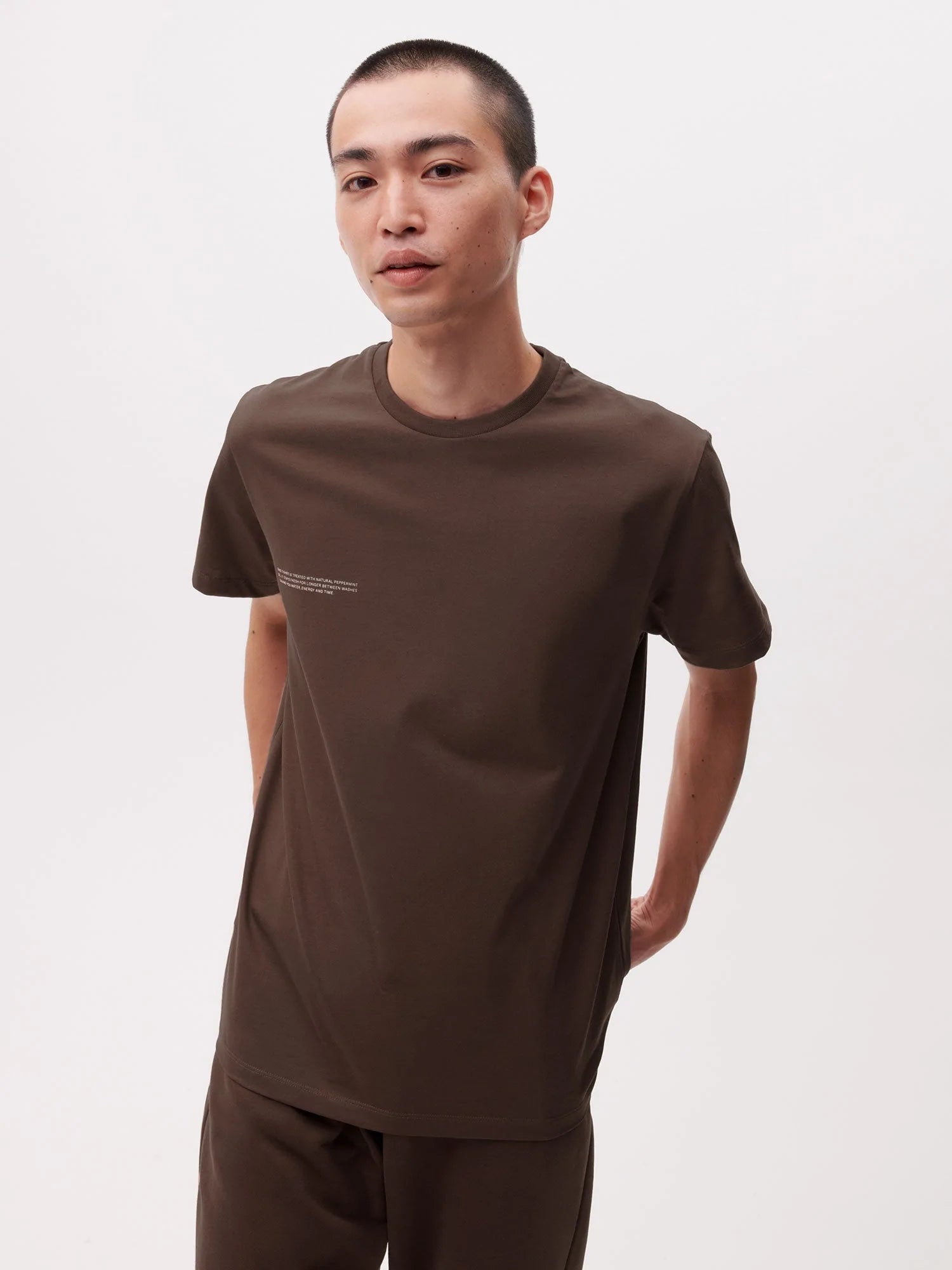 Earth Tones Organic Cotton T Shirt Chesnut Brown Male