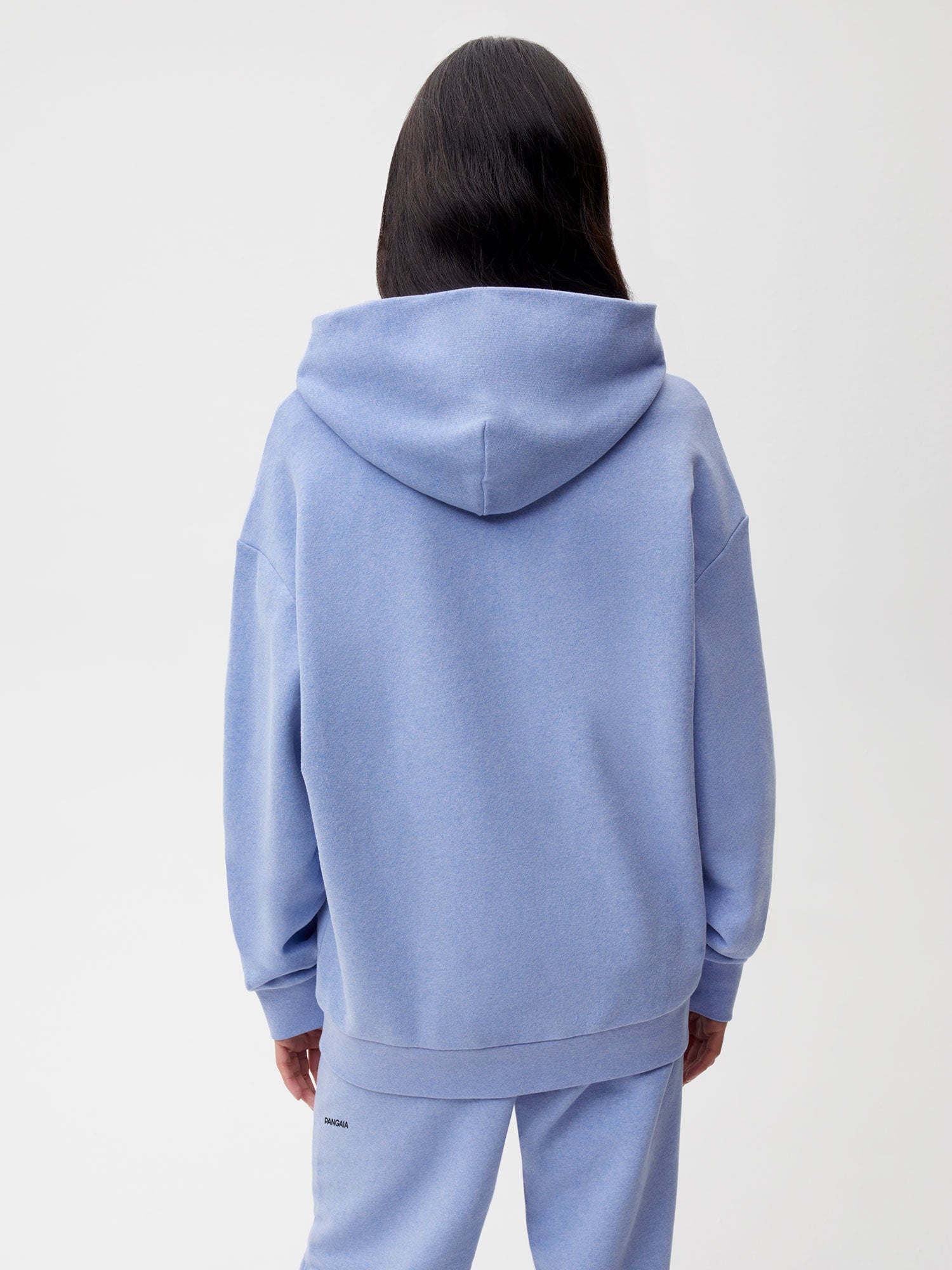 Pangaia 60 Recycled Cotton Hoodie Sea Mist Female